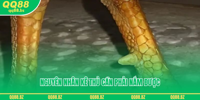 Nguyên nhân kê thủ cần phải nắm được cách nhận diện vảy án thiên